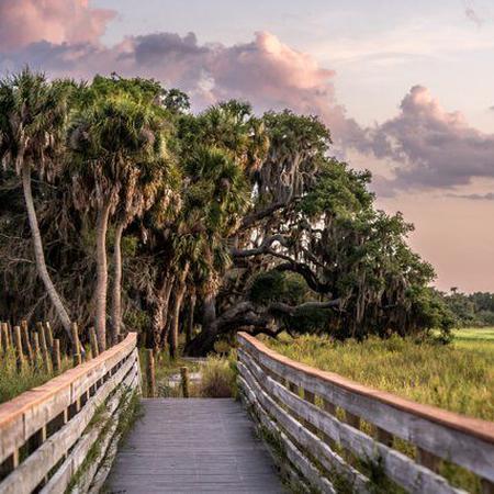 podcast episode artwork